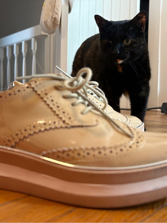 Patent Leather Brogue Oxford Lace-Up Flats in Beige - Picture 7 of 9